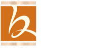 boroRug logo